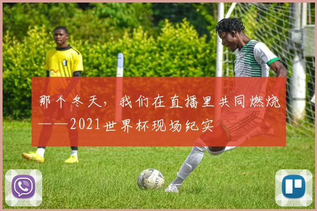 那个冬天，我们在直播里共同燃烧——2021世界杯现场纪实